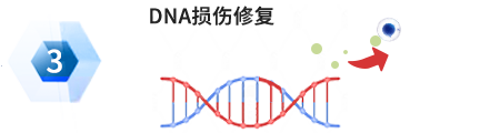 聖域